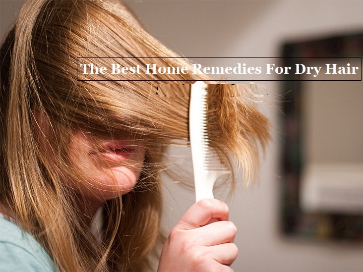 The Best Home Remedies For Dry Hair
